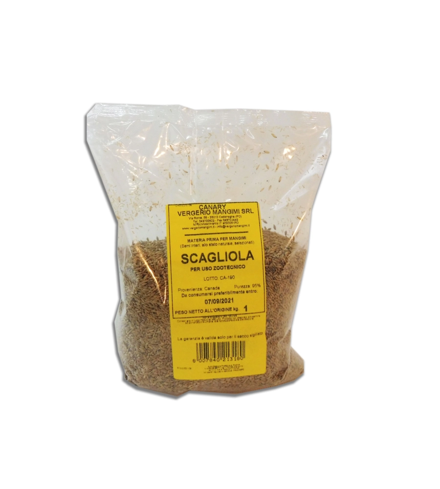 SCAGLIOLA  IN SEMI  - BECCHIME PER UCCELLI - 1 KG